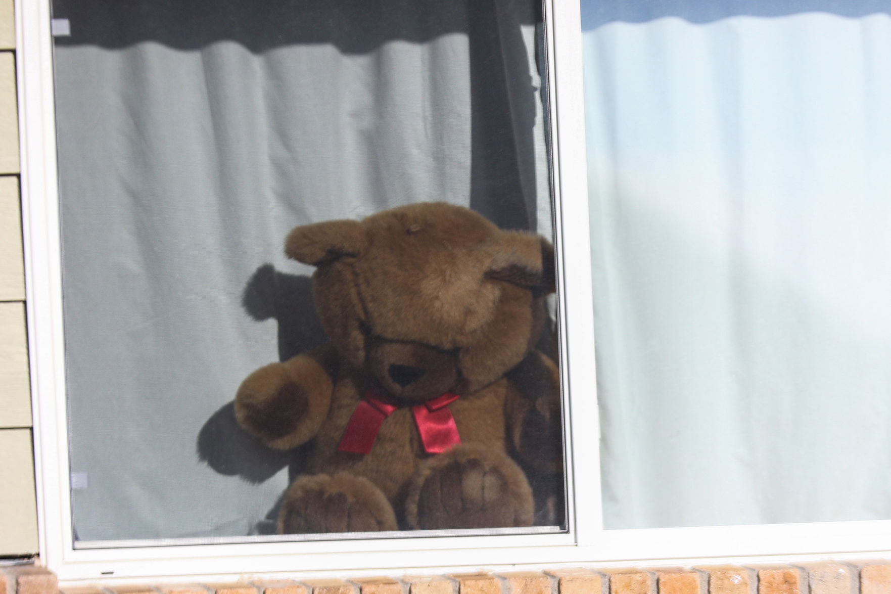 PHOTOS: Bear Hunt